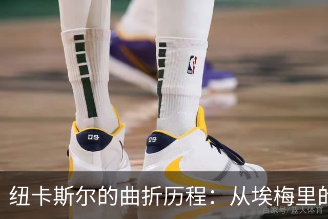 纽卡斯尔的曲折历程：从埃梅里的拒绝到安德森的交易苦涩